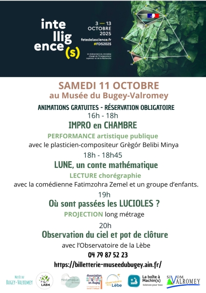 copie-de-flyer-fds-2025-recto-verso-1