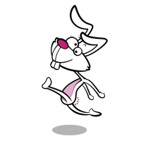 lapin mini