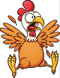 poulet